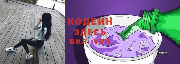 ешки Арсеньев