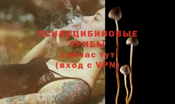 ешки Арсеньев