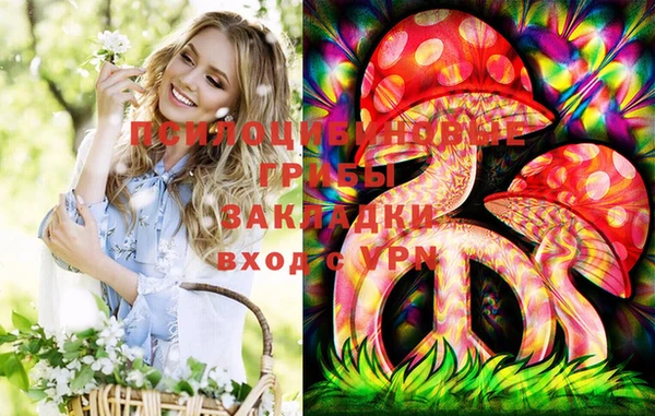 ешки Арсеньев