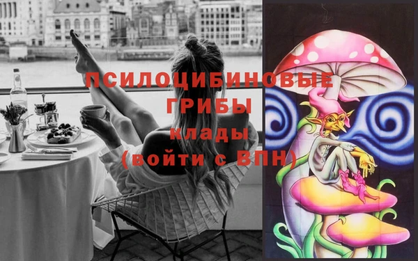 прущие крисы Армянск