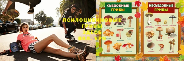 ешки Арсеньев