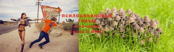 прущие крисы Армянск