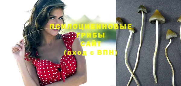 прущие крисы Армянск